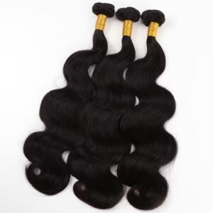 Body Waves Bundles
